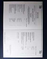 Where can I buy the same Technical University of Berlin transcript as the official?