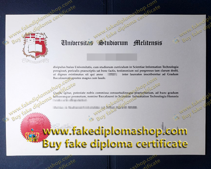 University of Malta diploma