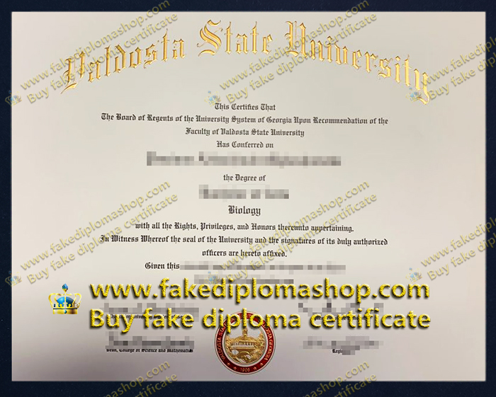 Valdosta State University degree