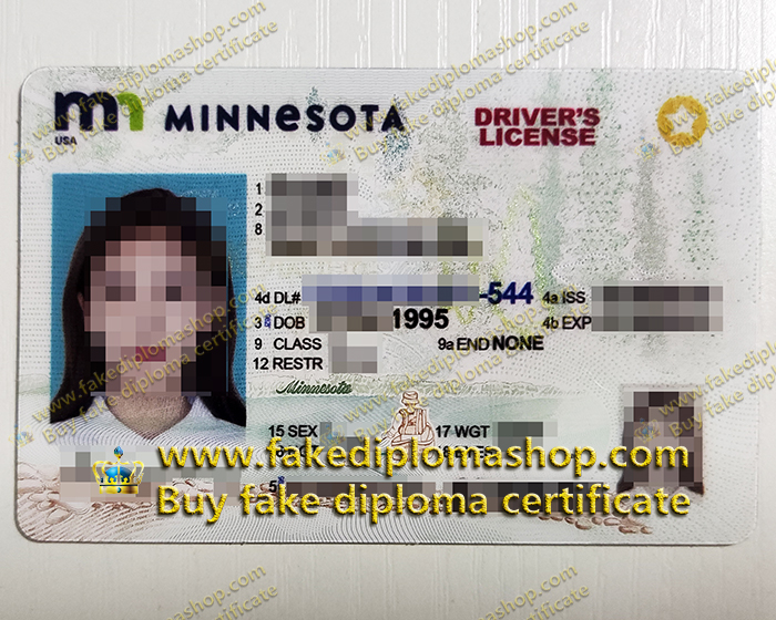 Minnesota driver's license