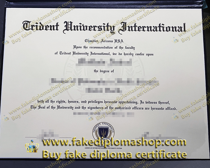 Trident University International diploma, TUI diploma