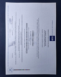 Nice ULB diploma for sale, Buy fake Université Libre de Bruxelles degree of Master