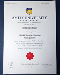 How long to make a fake Amity University diploma online?