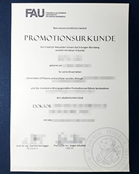 How much to buy a fake University of Erlangen–Nuremberg diploma of doctor online?