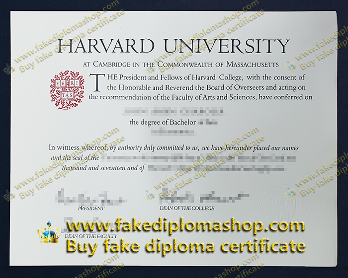 Harvard University Bachelor diploma