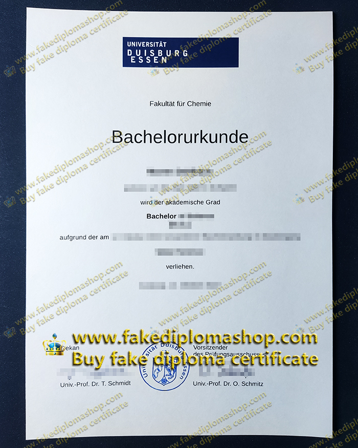 University of Duisburg-Essen diploma of Bachelor