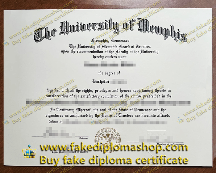 University of Memphis diploma of Bachelor, UofM degree certificate