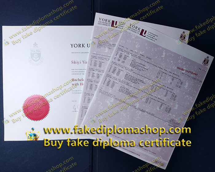 York University Bachelor degree and transcript, York University degree certificate