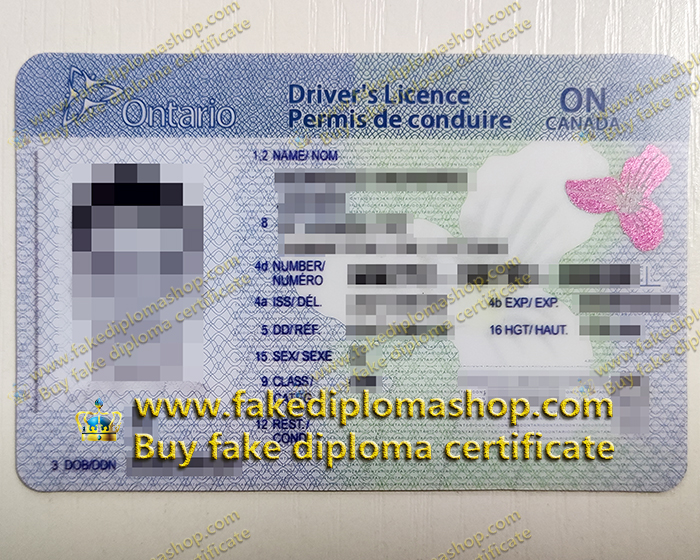 CA Ontario DL, Canada Ontario Driver's License