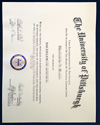 What happens if you lose your University of Pittsburgh diploma of Bachelor?