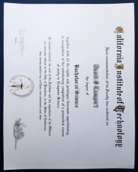 Fake CIT Bachelor diploma, California Institute of Technology diploma for sale