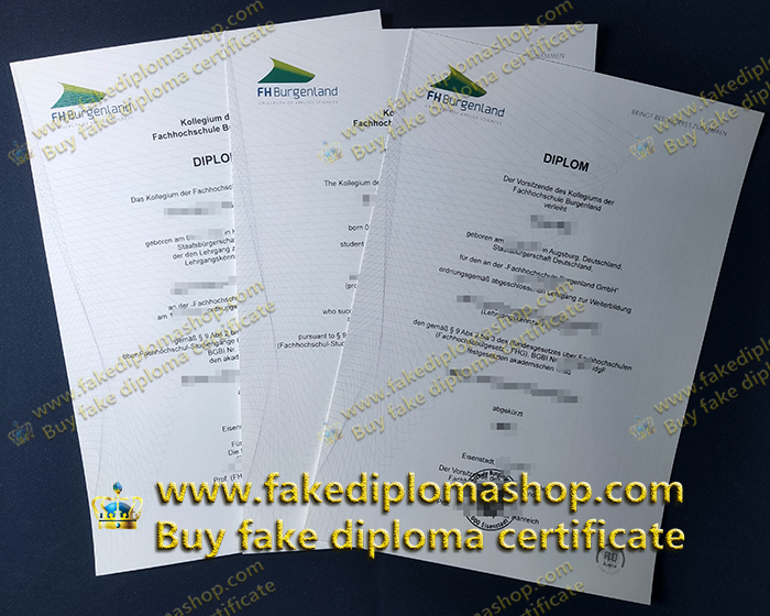 fake FH Burgenland diploma