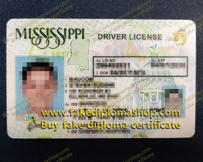 fake Mississippi Driver License