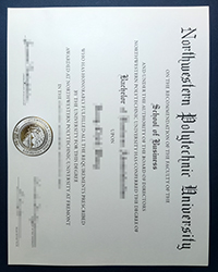 How to shop a fake NPU diploma of Bachelor, Northwestern Polytechnic University degree?