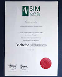 Can I buy a fake SIM diploma to replace my Lost Singapore Institute of Management diploma?