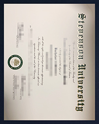 How long to get a fake Stevenson University diploma of Bachelor?