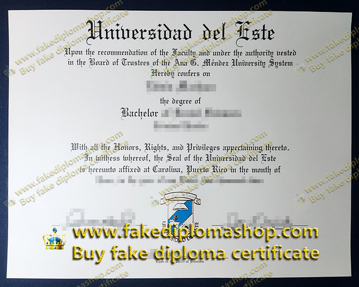 fake Universidad del Este diploma, fake UNE Bachelor diploma