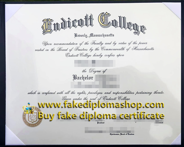 fake Endicott College diploma of Bachelor
