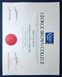 Buy a fake GBC diploma, George Brown College diploma