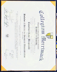What is the use of a fake Merrimack College diploma of Bachelor in the UK?