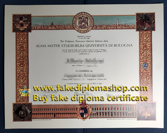 fake UNIBO degree, University of Bologna diploma