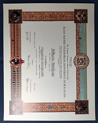 What is a fake UNIBO degree, University of Bologna diploma equivalent to?