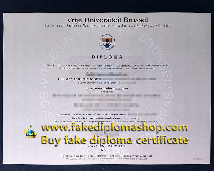 Fake Vrije Universiteit Brussel diploma, VUB Bachelor degree