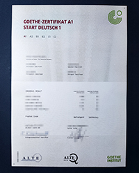 How important is fake Goethe-Institut A1 certificate, GI A1 certificate?