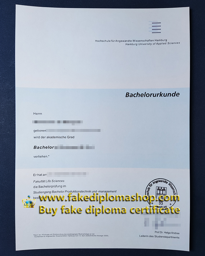 HAW diploma of Bachelor, Hamburg University of Applied Sciences degree