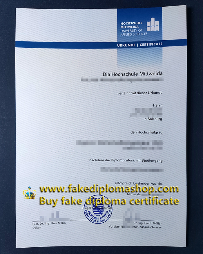 fake Hochschule Mittweida diploma