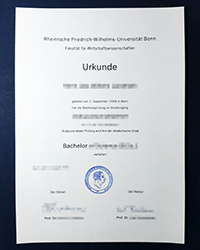 How long to get a fake Rhenish Friedrich Wilhelm University of Bonn diploma of Bachelor?