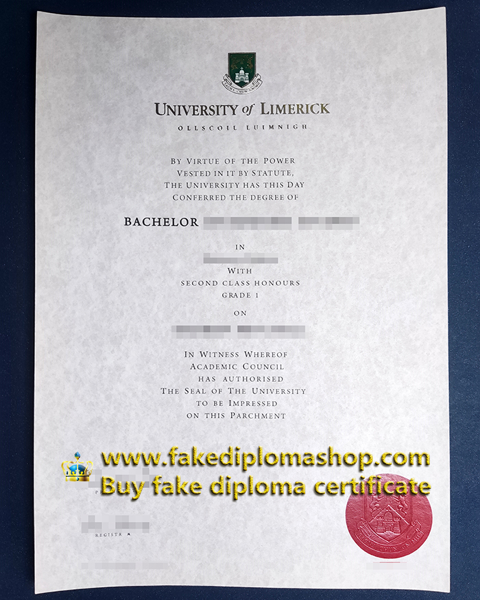 University of Limerick degree of Bachelor