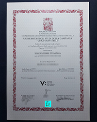 Can I buy a fake Università degli Studi della Campania diploma of Luigi Vanvitelli?