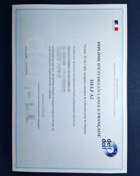 DELF A2 certificate, What is the DELF A2 certificate in French?