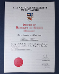 Old edition NUS diploma, buy a National University of Singapore Bachelor degree