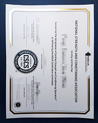 NSCA certificate, Order a fake National Strength and Conditioning Association certificate