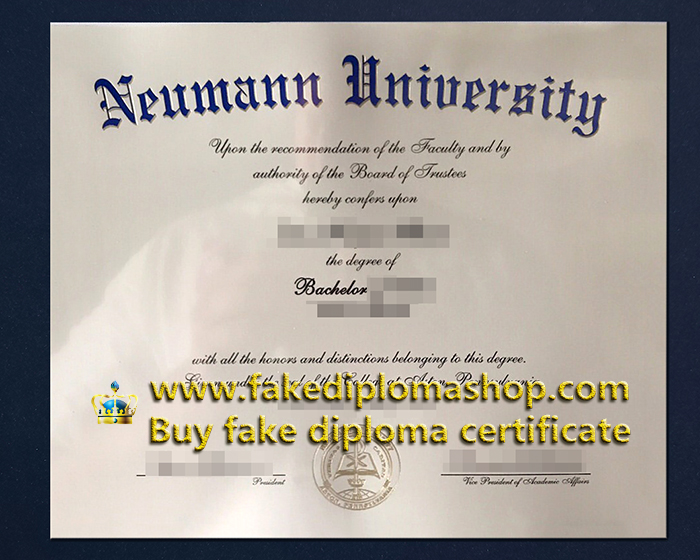 Neumann University diploma of Bachelor