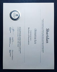 How much to order a fake Sheridan College diploma online?