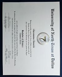 UNTD diploma of Bachelor, University of North Texas certificate at Dallas