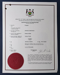 Canada certificate of Authentication University of Toronto for sale