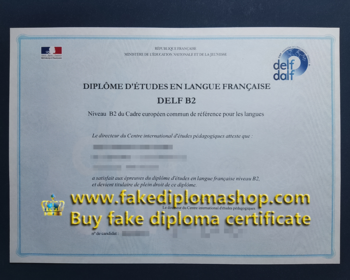 DELF B2 certificate