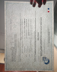 Purchase a best DELF B2 certificate with Watermark in French