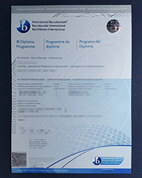 Shop IB diploma with International Baccalaureate transcript online