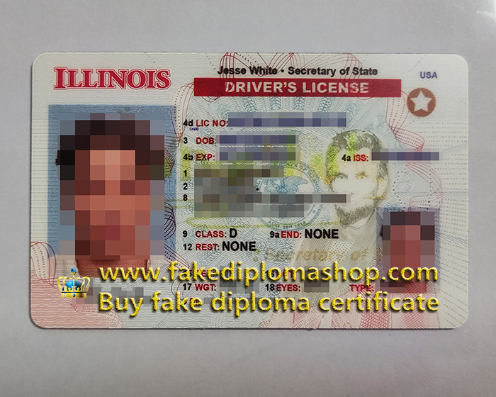 Illinois Driver's License, Illinois ID