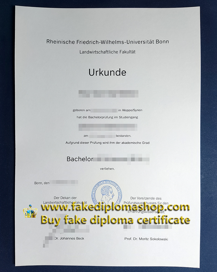 Rheinische Friedrich-Wilhelms-Universität Bonn diploma, University of Bonn diploma