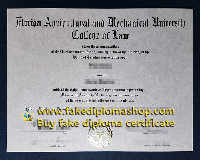 FAMU degree of Doctor, Florida A&M University diploma