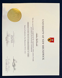 What are the best programs at the University of New Brunswick degree now?