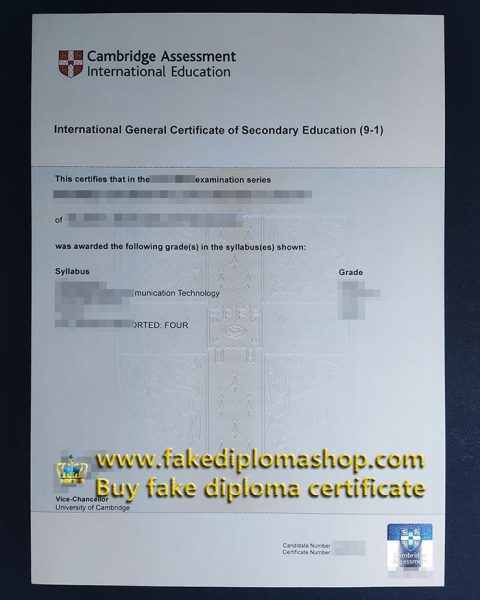 New edition Cambridge IGCSE certificate for sale