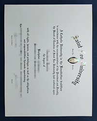 2 suggestions for buying fake Saint Leo University diploma of Bachelor