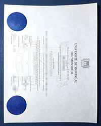 Purchase a UdeM degree, Université de Montréal diploma in 2023